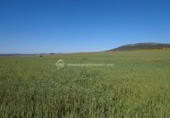 Parcel·la urbanitzable en venda a la España, Sierra de Fuentes, ref.: TR115691 foto
