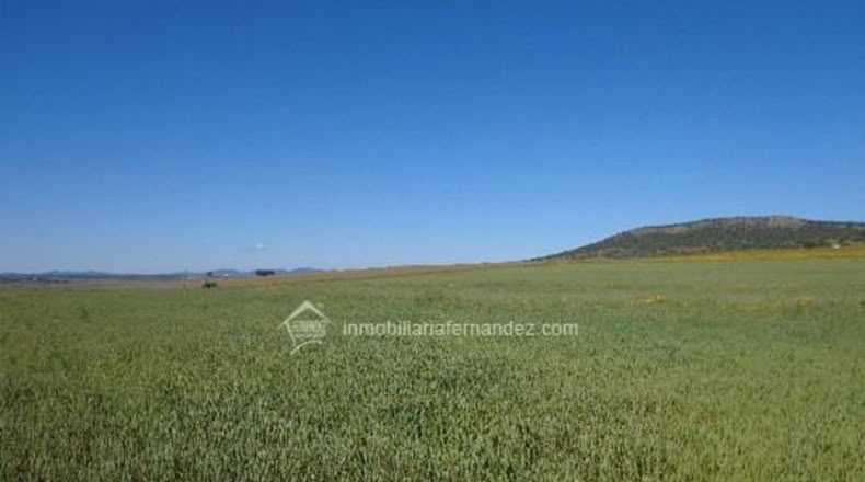 Cáceres - Sierra de Fuentes - 5500m2