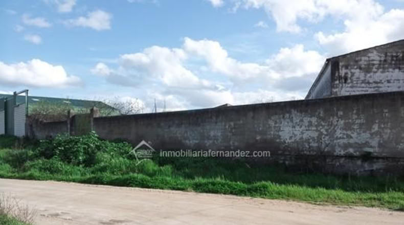 Cáceres - Brozas - 660m2