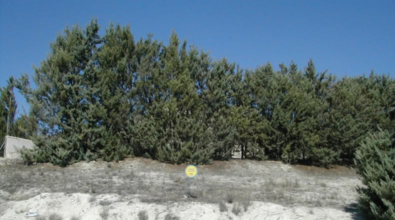 Segovia - Cuéllar - 777m2