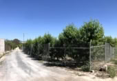 Terreno no urbanizable en venta en la España, Abarán, ref: TR227789 foto