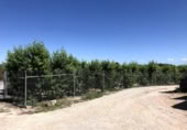 Terreno no urbanizable en venta en la España, Abarán, ref: TR227789 foto