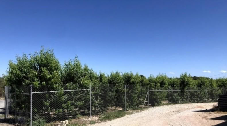 Múrcia - Abarán - 3828m2