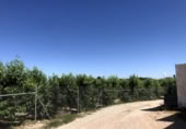 Terreno no urbanizable en venta en la España, Abarán, ref: TR227789 foto