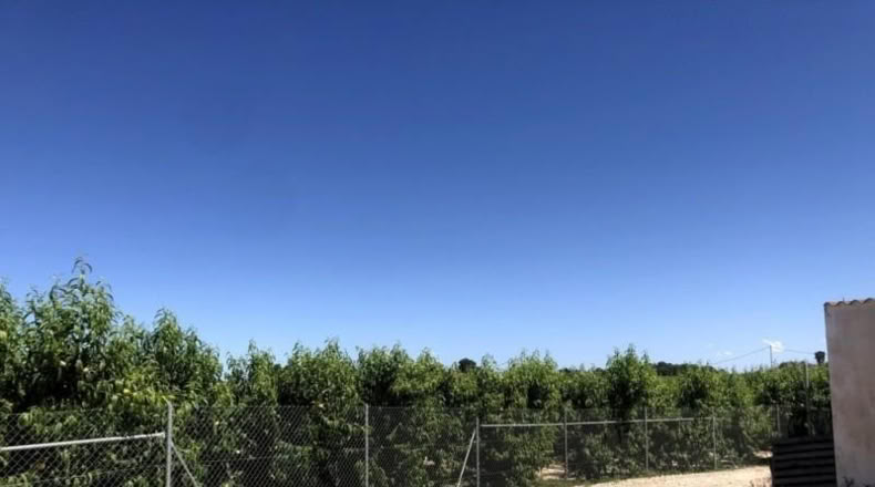 Múrcia - Abarán - 3828m2