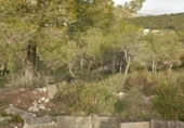 Sòl urbà en venda a la España, Canyelles, ref.: TR119575 foto