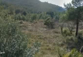 Sòl urbà en venda a la España, Canyelles, ref.: TR119580 foto
