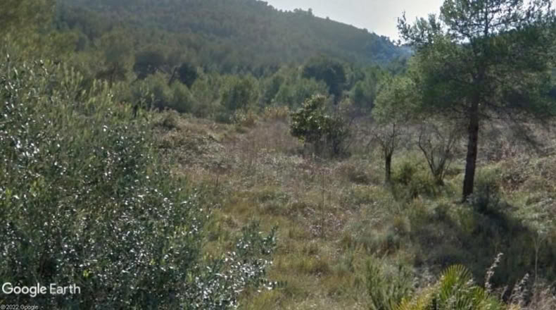 Barcelona - Canyelles - 418m2