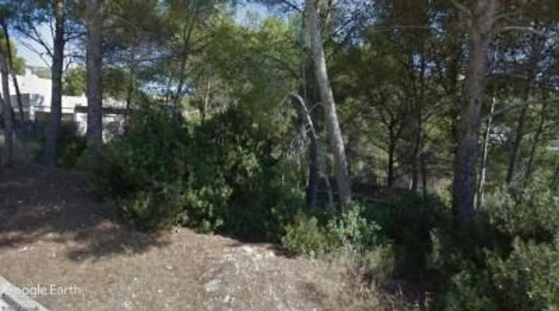 Barcelona - Canyelles - 406m2