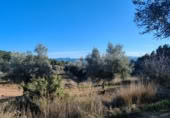 Xalet independent amb terreny en venda a la España, Calaceit, ref.: TR302245 foto