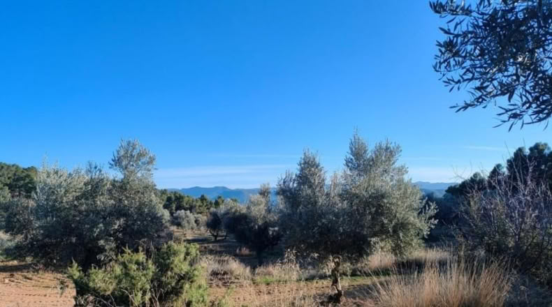 Álava - Fresneda - 40416m2