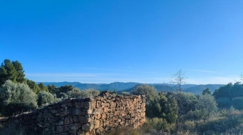 Álava - Fresneda - 40416m2