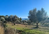 Xalet independent amb terreny en venda a la España, Calaceit, ref.: TR302245 foto