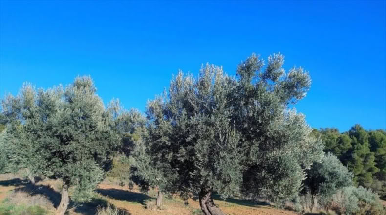 Álava - Fresneda - 40416m2