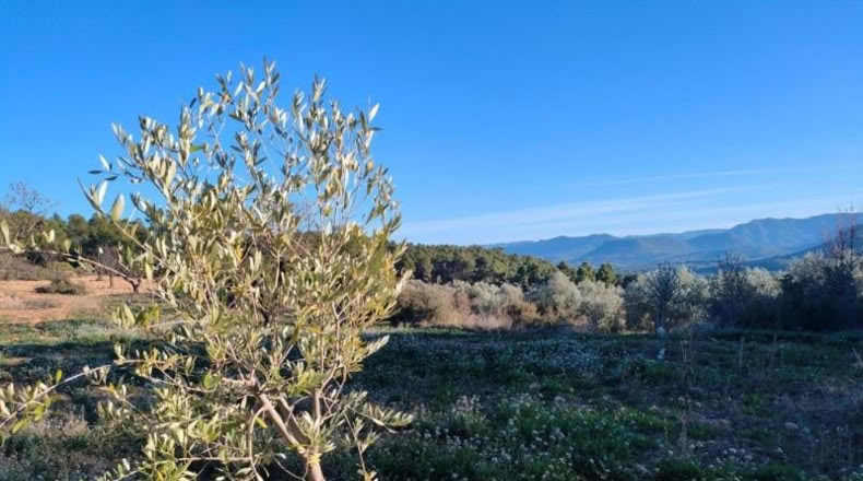 Álava - Fresneda - 40416m2