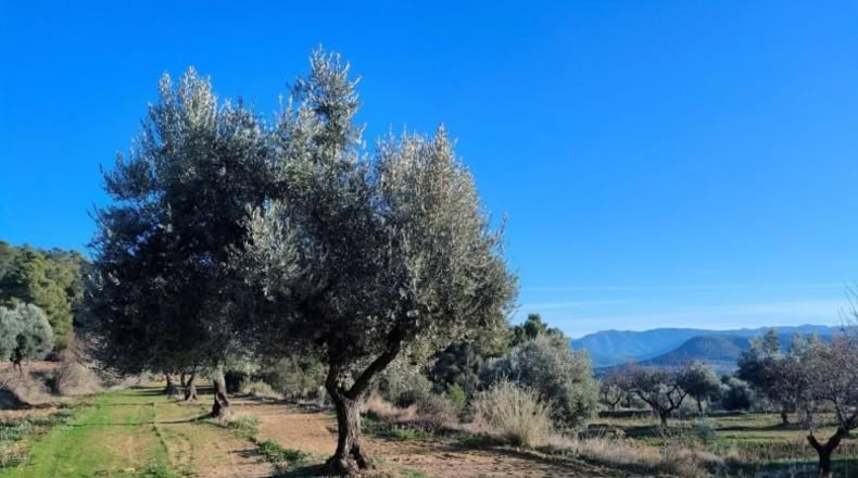 Álava - Fresneda - 40416m2