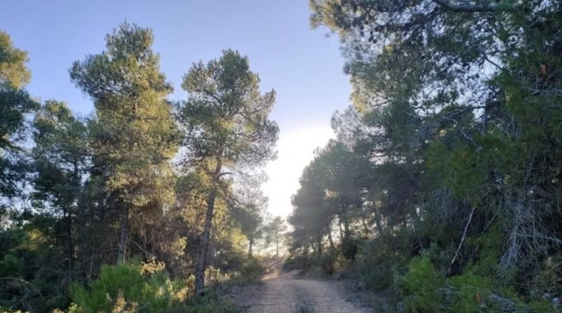 Álava - Fresneda - 40416m2