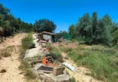 Отдельно стоящий дом с участком на продажу в городе Calaceite Фото