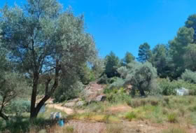Foto 9