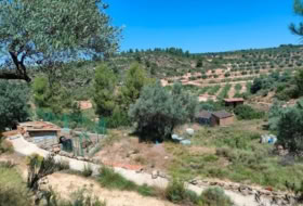 Foto 12
