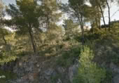 Non-developable land for sale on España, Canyelles, ref: TR119193 photo