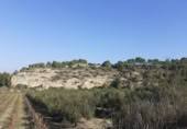 Chalet independiente con terreno en venta en la España, Ginestar, ref: TR304254 foto