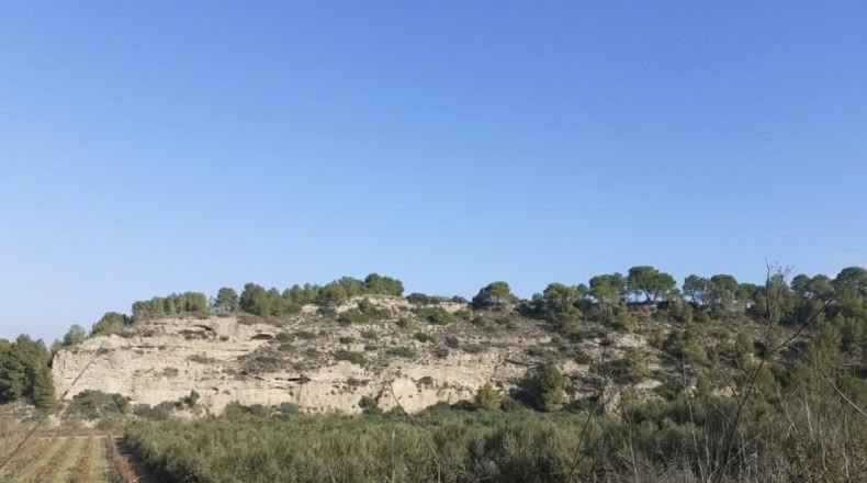 Tarragona - Ginestar - 1m2