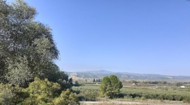 Tarragona - Ginestar - 1m2