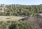 Chalet independiente con terreno en venta en la España, Ginestar, ref: TR304254 foto