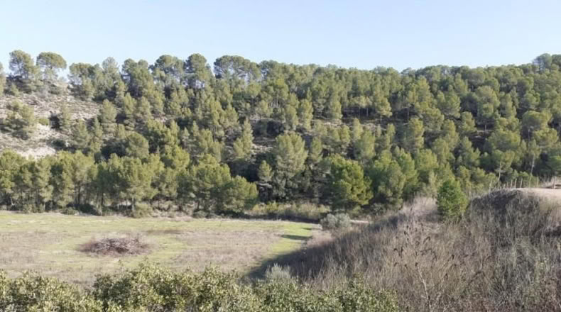 Tarragona - Ginestar - 1m2