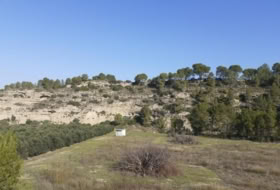 Foto 8