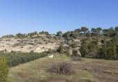 Chalet independiente con terreno en venta en la España, Ginestar, ref: TR304254 foto