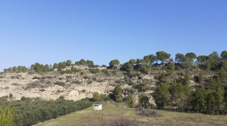 Tarragona - Ginestar - 1m2