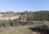 Chalet independiente con terreno en venta en la España, Ginestar, ref: TR304254 foto
