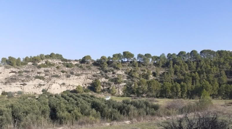 Tarragona - Ginestar - 1m2