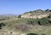 Chalet independiente con terreno en venta en la España, Ginestar, ref: TR304254 foto