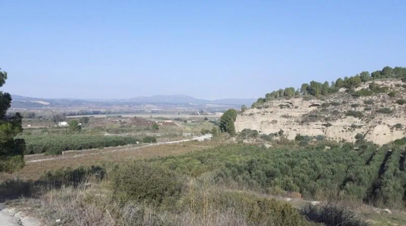Tarragona - Ginestar - 1m2