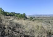 Chalet independiente con terreno en venta en la España, Ginestar, ref: TR304254 foto