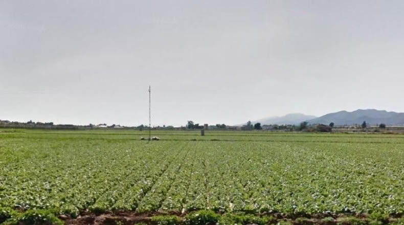 Múrcia - Lorca - 11015m2
