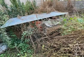 Foto 12