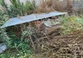 Casa de camp amb terreny en venda a la España, Castropodame, ref.: TR301166 foto