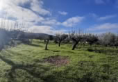 Sòl urbà en venda a la España, Cañaveral, ref.: TR126697 foto