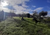 Sòl urbà en venda a la España, Cañaveral, ref.: TR126697 foto