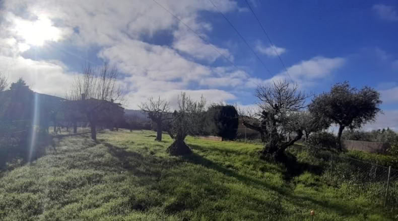 Cáceres - Cañaveral - 880m2