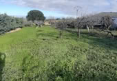 Sòl urbà en venda a la España, Cañaveral, ref.: TR126697 foto