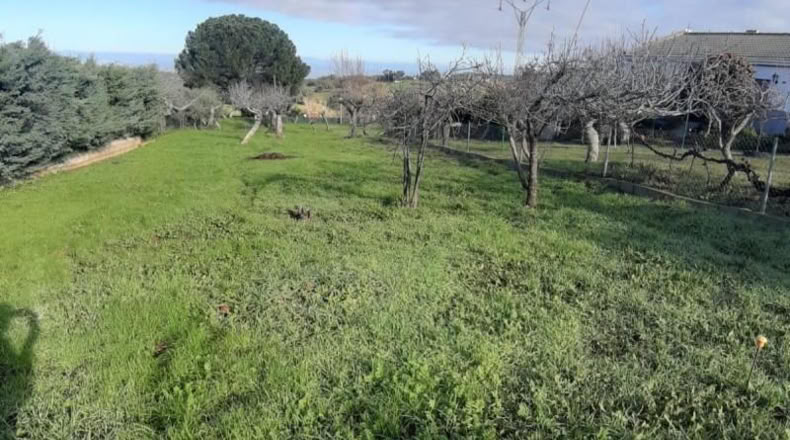 Cáceres - Cañaveral - 880m2