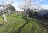 Sòl urbà en venda a la España, Cañaveral, ref.: TR126697 foto