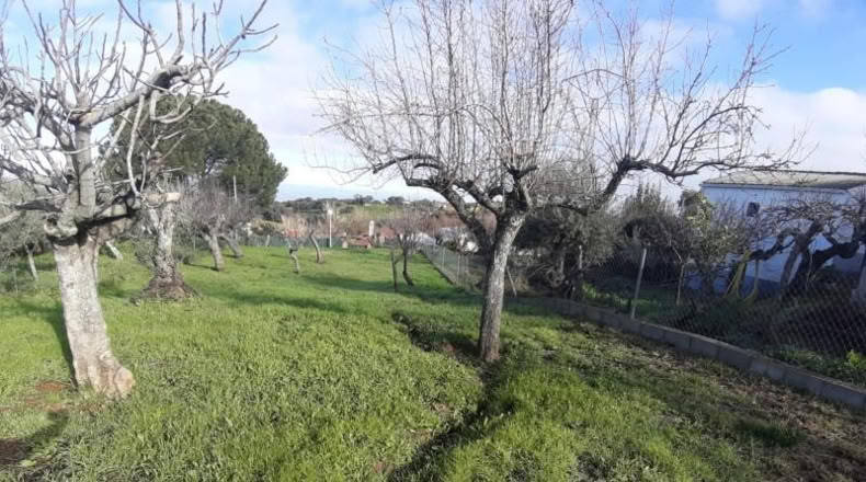 Cáceres - Cañaveral - 880m2