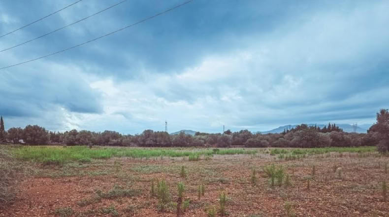 Tarragona - Santa Bàrbara - 9635m2
