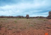 Terreno no urbanizable en venta en la España, Santa Bàrbara, ref: TR174139 foto